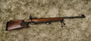 Historic rifle display with expert safety instruction