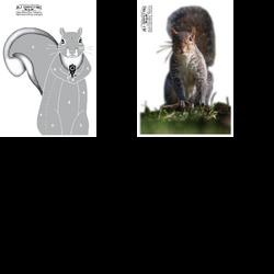 Squirrels