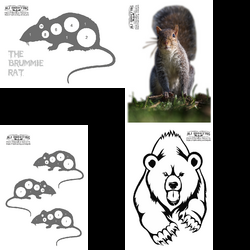 Animals