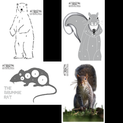 Animals